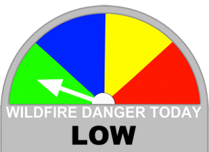 Large Icon Low Fire Danger